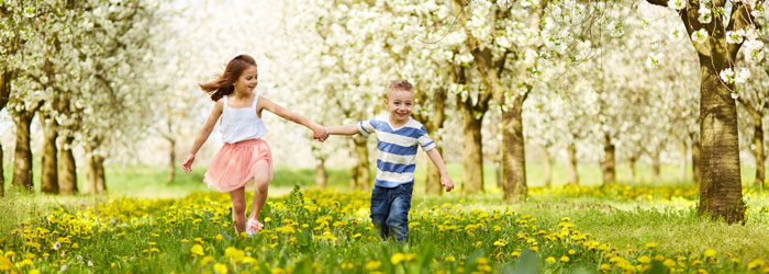 life-insurance life-insurance